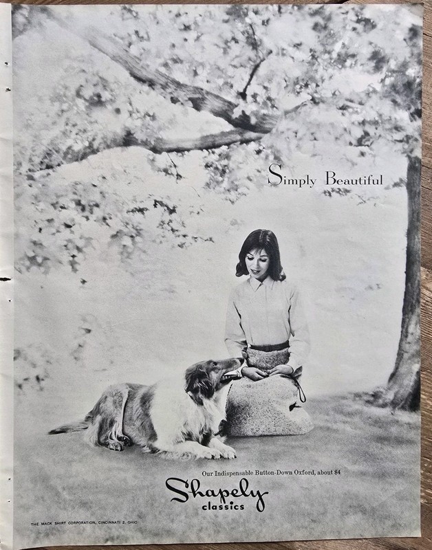 1959 Women's Shapely Classics Oxford Shirt Collie Dog Photo Vintage Fashion Ad 