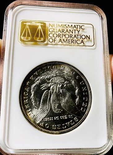 1884 O $ NGC MS-64 Gold Embossed Old Fatty Holder Morgan Silver Dollar.