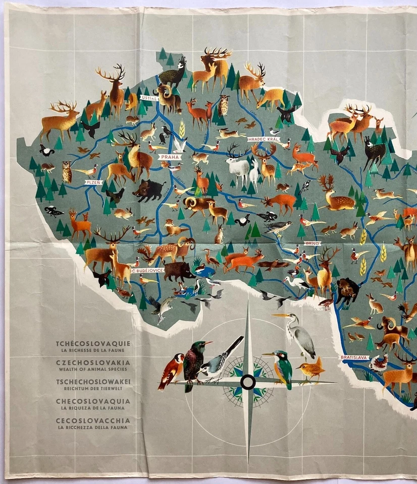 Original Vintage Map J. BEZA - WEALTH OF ANIMAL SPECIES - CZECHOSLOVAKIA - 1964 - Image 2 of 4
