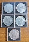 5 pcs Silver Peace Dollars, Dates and conditions as shown