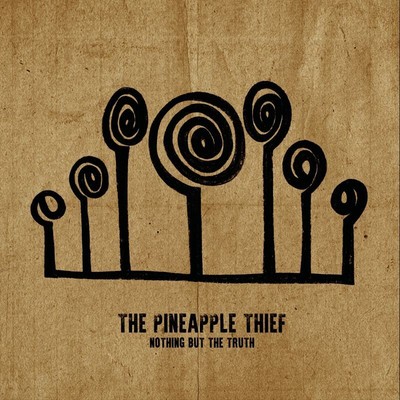 The Pineapple Thief: Nothing But The Truth -   - (LP / N)
