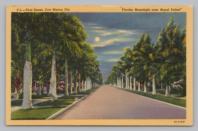First Street Fort Meyers, Florida Moonlight Over Royal Palms Postcard  P24