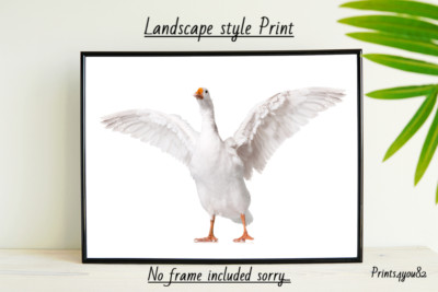 GOSE FUN A4 DRUCK BILD POSTER WANDBILD WOHNDEKO UNGERAHMT GESCHENK NEU