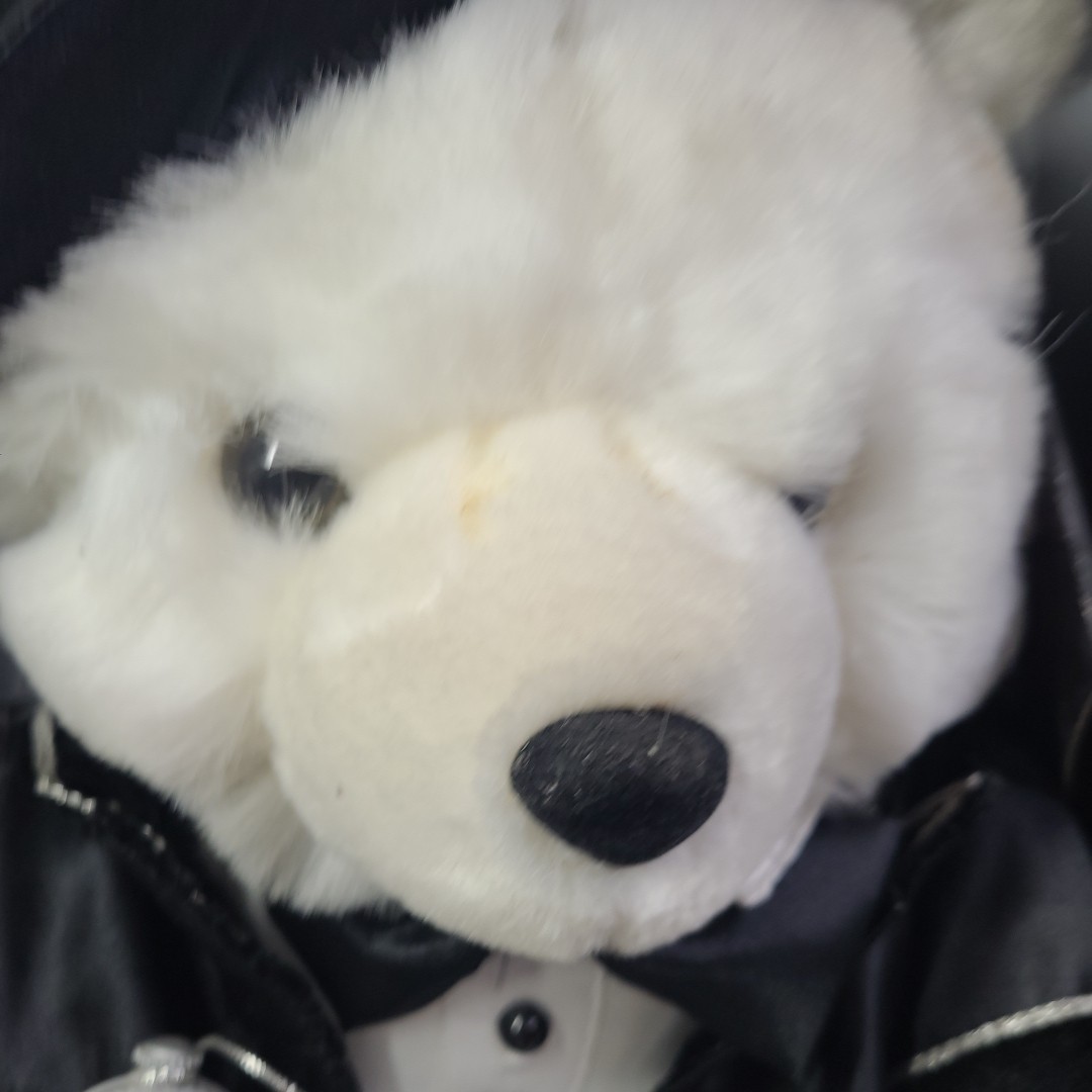 Dan Dee 2000 Millennium Edition Countdown Teddy Bear - K-mart