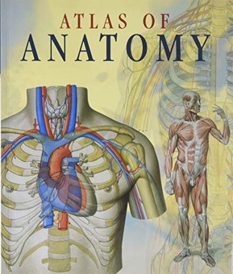 Atlas of Human Anatomy - Paperback By et al Dr Giovanni Iazzetti - VERY GOOD