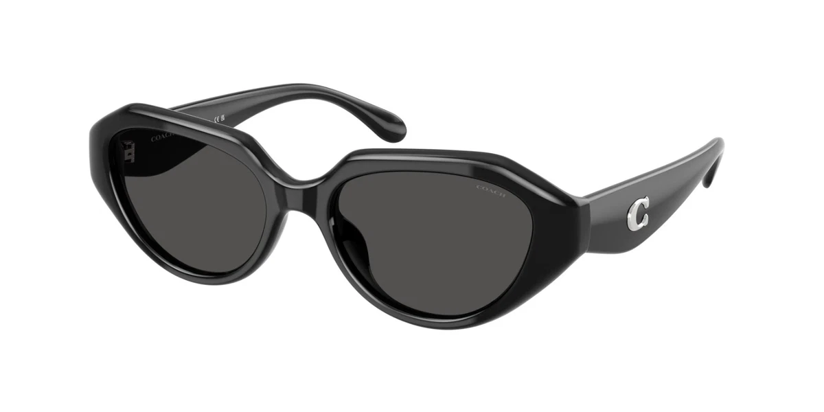 Coach Black Cat-Eye Sunglasses with Gray Tint Coach HC8385U Cl916 clear , gray frame with grey solid  main image 3