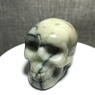 205g Natural Green Network Picasso Jasper Hand Carved Crystal Skull Realistic 10