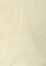 Birch White wood veneer 24" x 96" with peel and stick PSA adhesive 1/40 thick