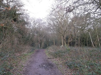 Foto A3 Scio Ride, Putney Heath Diese Strecke ist eine ehemalige Reitbahn c2012