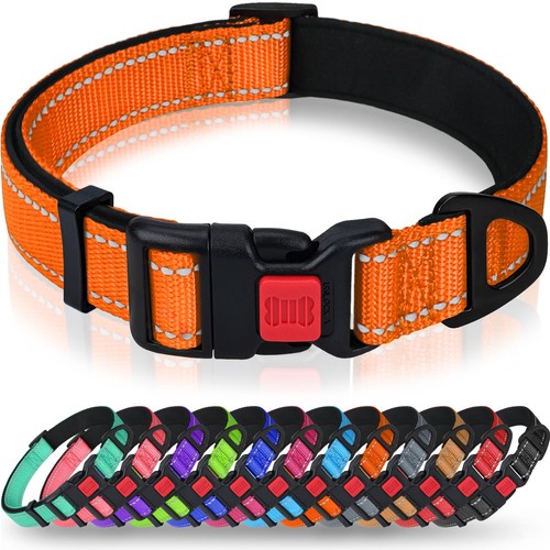 Dog Collar XL Orange