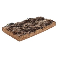 Budgie Perch Natural Perches for Birds Cage Accessories Platform