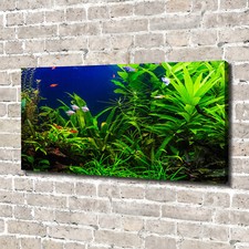 Quadro su tela stampa artistica 140x70 quadri paesaggi pesci in acquario