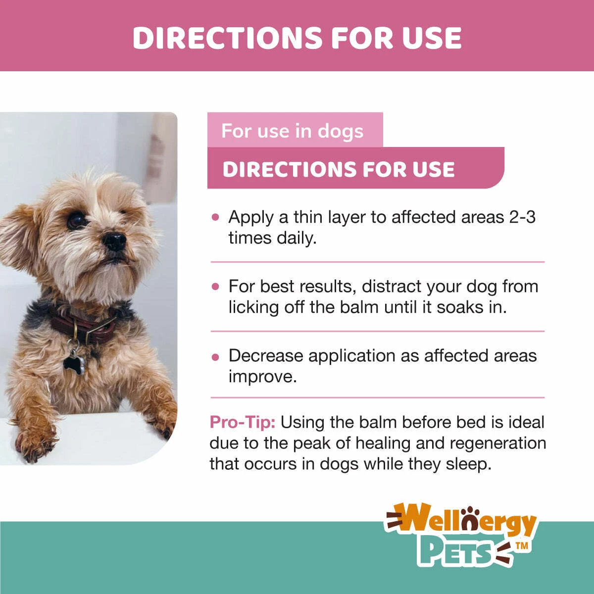 How Do I Moisturize My Yorkies Dry Skin