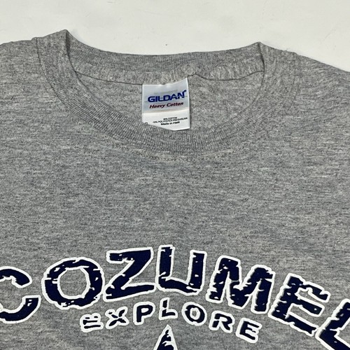 Gray And Blue Cozumel Mexico Graphic Shirt Star Size Small Gildan Tag - Picture 9 of 12