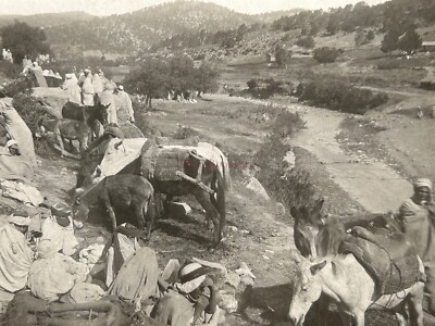 ALGÉRIE Population Nomaden C1900 Foto Stereo Vintage Argentique