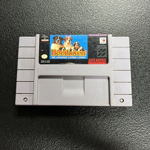 Beethoven: The Ultimate Canine Caper (Super Nintendo Entertainment System, 1993)