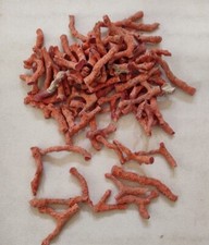 Pierre précieuse brute corail rouge 100 % naturelle Méditerranée Italie branc...