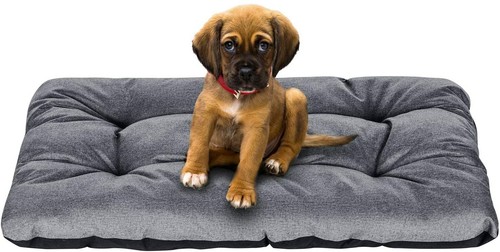 Cama Perro para Perros y Gato Impermeable Grande y Mediano Perros L, XL - Imagen 7 de 34
