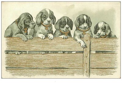 Dogs No. 6520 Five Dogs On A Barrier
