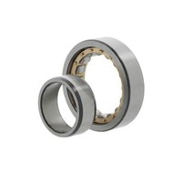 Fag Zylinderrollenlager NU2309 -E-M1A Id 45Mm Ad 100Mm Breite36Mm 1St./Ve