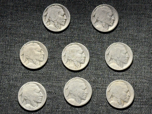 8 Early Buffalo Nickels - Teens 1913 to 1919 - Good Dates Carefully Restored