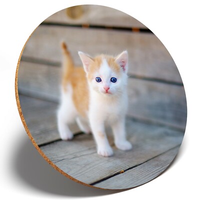 1 x Niedliche Ingwer Kätzchen Katze Baby - Runde Untersetzer Küche Student Kinder Geschenk #15844