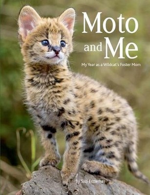 Moto and Me: My Year As a Wildcat's Foster Mom by Suzi Eszterhas (English) Paper
