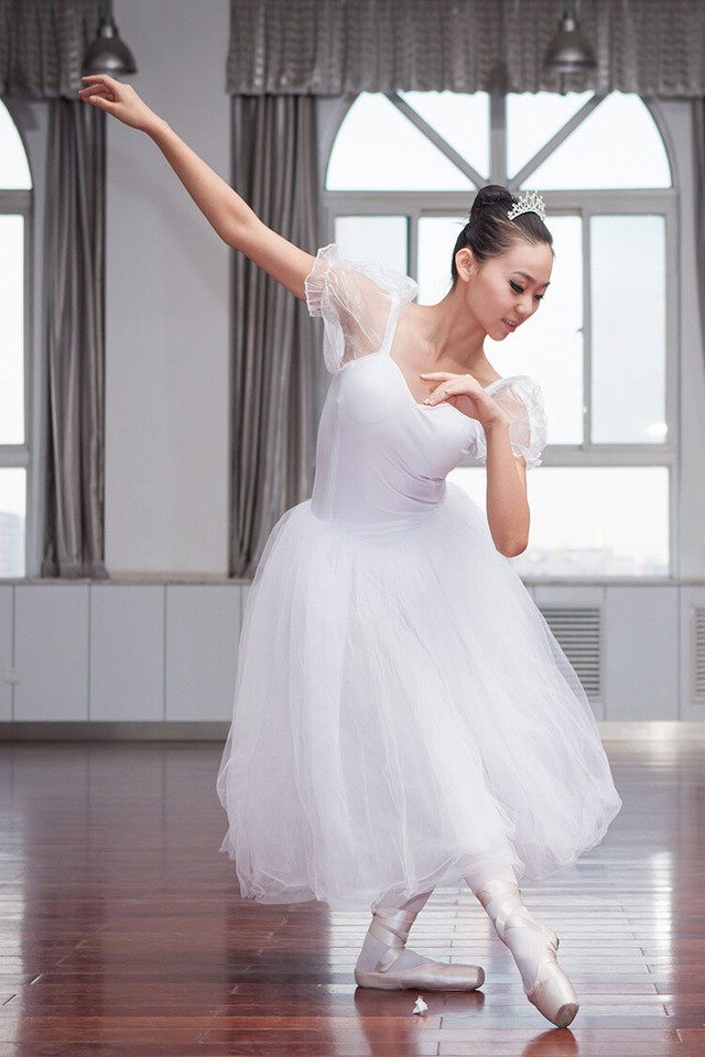 The New Professional Dance Adult Ballet tutu Ballet Swan Lake Costume ...