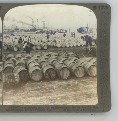 New Orleans Sugar Levee Beside Mississippi LA Louisiana Underwood Stereoview