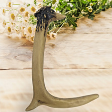 Personalized Name Art 8" Antler Letter "L" 3D Western Decorative Hanging Wall