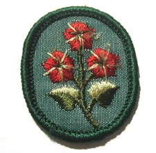 Vintage 1960-70 Girl Scout SCARLET PIMPERNEL TROOP CREST Red Flower Patch Badge