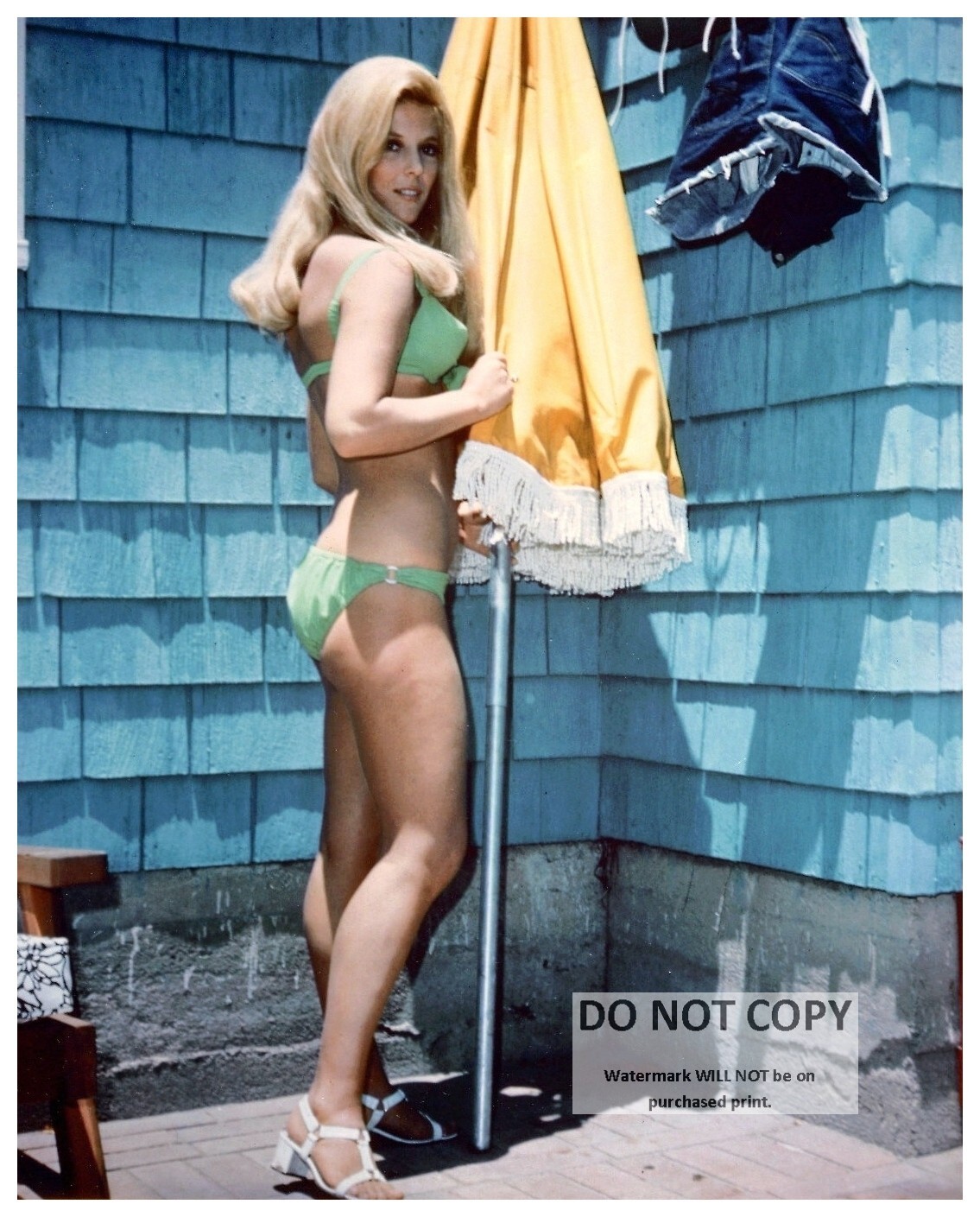 ACTRESS MEREDITH MacRAE PIN UP - 8X10 PUBLICITY PHOTO (AB-587) | eBay