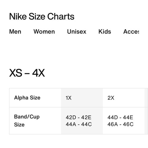 The Nike Dri-FIT Indy Sports Bra 1X. DN4181-100 - Picture 6 of 6