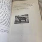 Foto 9 di 11
