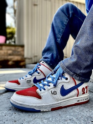 Magnus Walker x Nike SB Dunk 25cm 新品 Nike SB Dunk High Pro Ishod Wair x Magnus Walker Men's