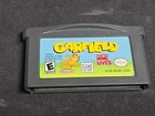 Garfield and his Nine Lives Gba