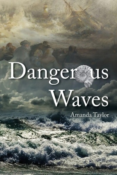Amanda Taylor | Dangerous Waves | Taschenbuch | Englisch (2015)-image