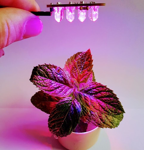 Lampada UV led MODULO 12V per idroponica crescita piante serra ARDUINO Hobby - Foto 6 di 7