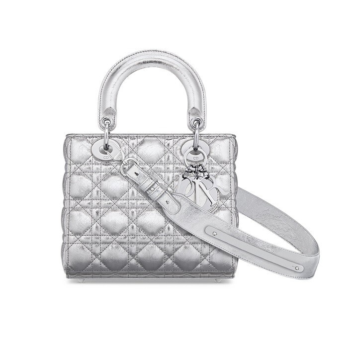 Small Dior Or Lady Dior My ABCDior Bag Metallic Silver