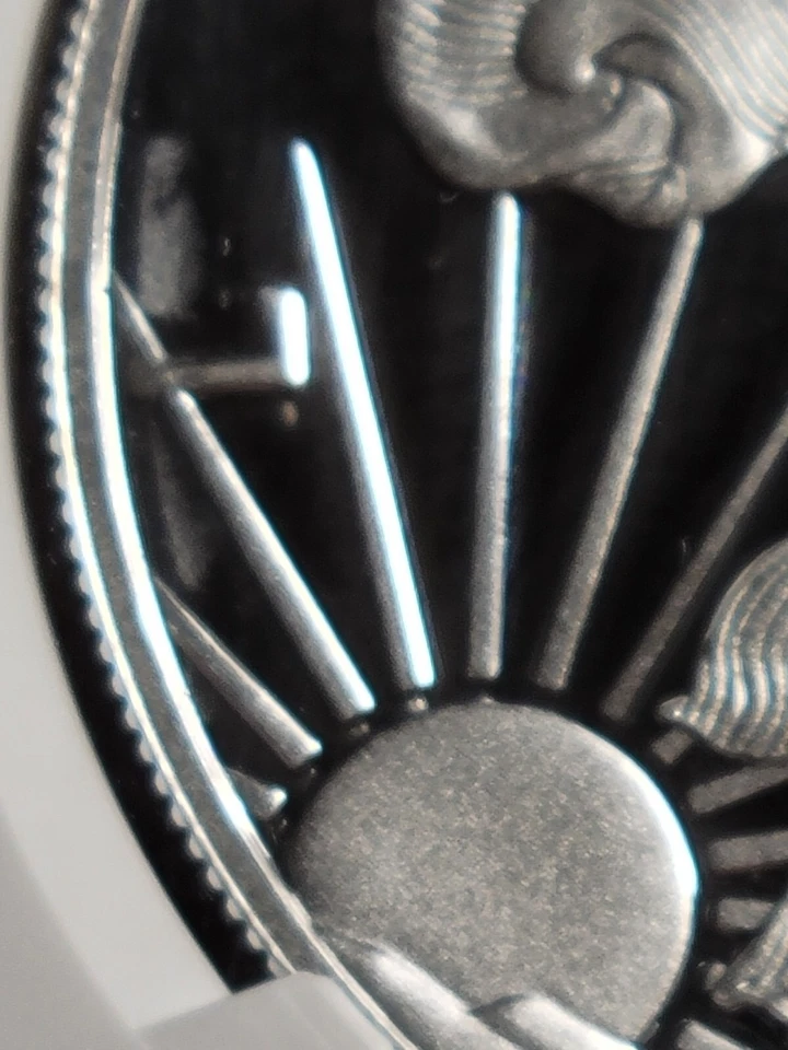 2020 W SILVER EAGLE V75 PF67 ULTRA CAMEO REVERSE WEAKLY STRUCK ERROR! 69 #15-002 - Image 3 of 4