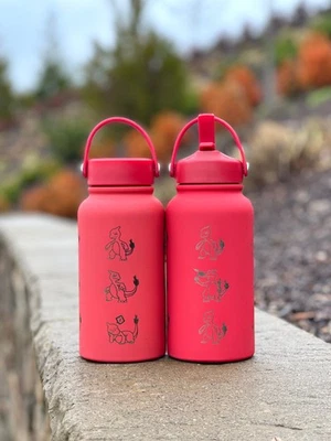 Charmeleon Water Bottle Engraved Waterbottle with Sleeping Charmeleon Coffee - Image 1 of 4