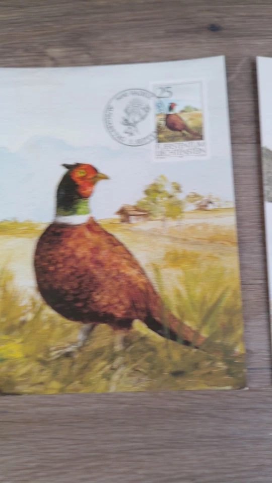LIECHTENSTEIN 1990 THREE FIRST DAY COVERS, GAME BIRDS ON MAXI CARDS - Image 3 of 4