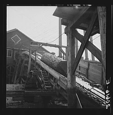 Pelican Lumber Company Mill,Klamath Falls,OR,Oregon,Dorothea Lange,FSA