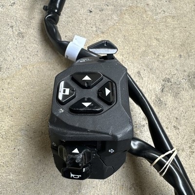 Aprilia RS660 Aprilia Tuono 660 RSV4 Tuono 1100 LEFT SWITCH Control 2D000548