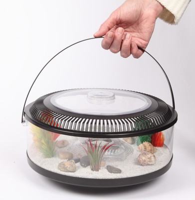 portable reptile carrier