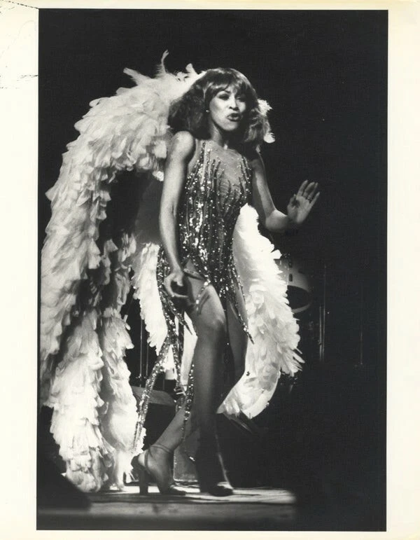Tina Turner Sexy Exotic Stage Costume Vintage Stamped Original 10x12 Photograph