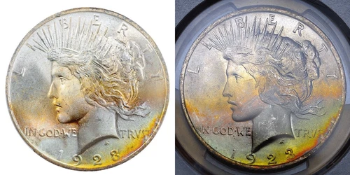 1923-P PCGS MS65 PEACE $$ GORGEOUS COLORFUL BRIGHT RAINBOW TONING (VIDEO) **