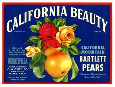 CALIFORNIA BEAUTY (ROSES) VINTAGE 1930s FRESNO CALIFORNIA PEAR FRUIT CRATE LABEL
