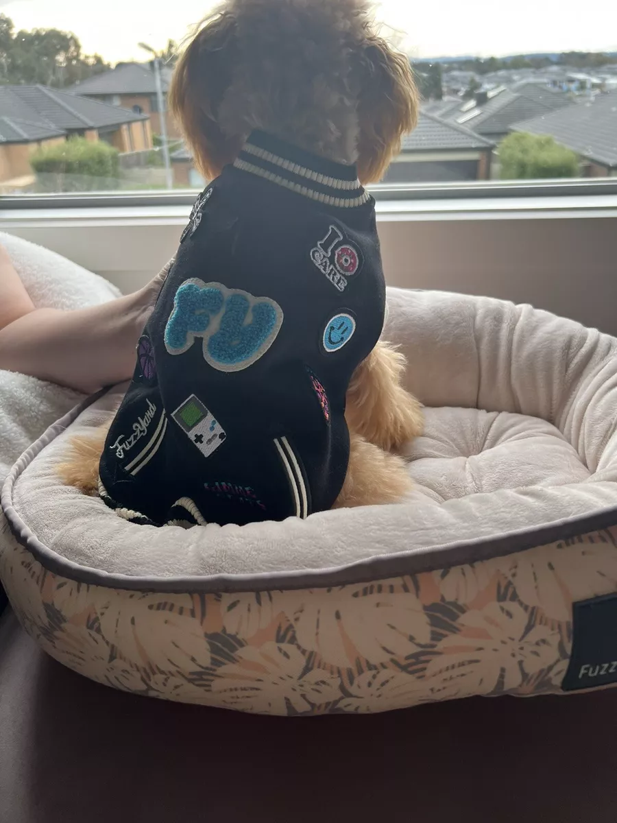 Dog varsity jacket top