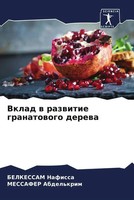 Belkessam Nafissa (U. A.) | Vklad W Razwitie Granatowogo Derewa | Taschenbuch